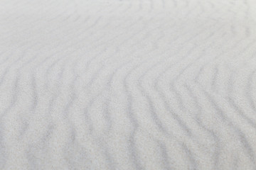 Fototapeta na wymiar Sea sand dunes, selective focus