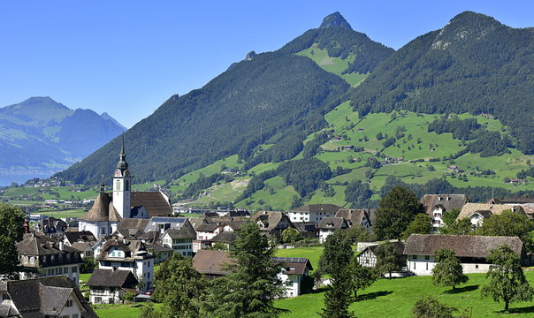 schwytz