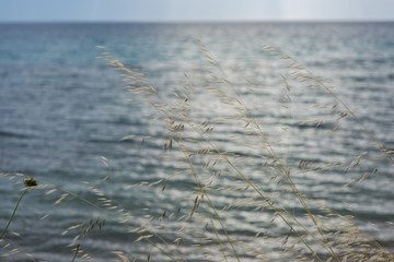 Sea landscape with bad weather and the cloudy sky