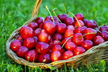 Red cherries in basket, close up view