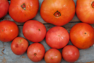 Fresh tomatoes on the wooden table