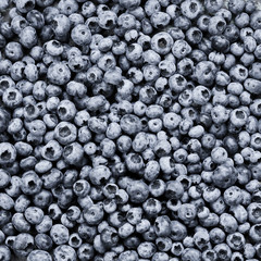 Bunch of fresh blueberries