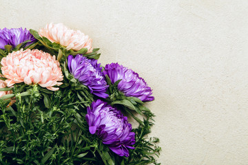 Mother day background with asters flowers