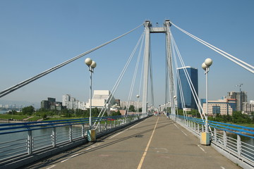 Fototapeta na wymiar Cable-stayed bridge over the Yenisei in Krasnoyarsk