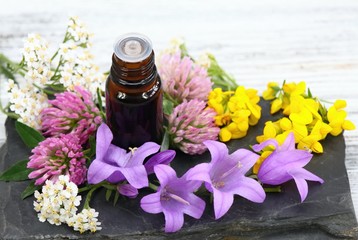 Essential oil & meadow flowers