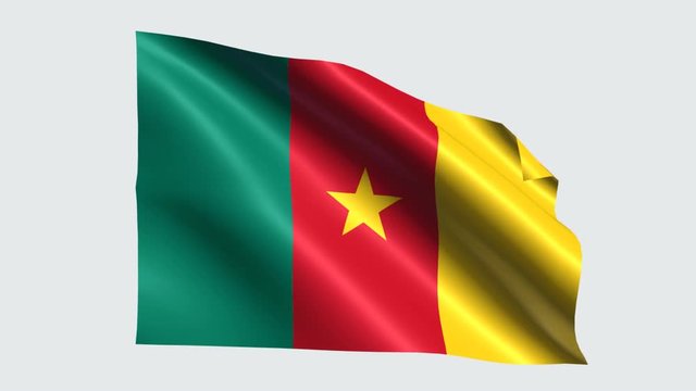 Cameroon flag with transparent background