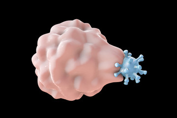 White blood cell engulfing a virus, 3D illustration
