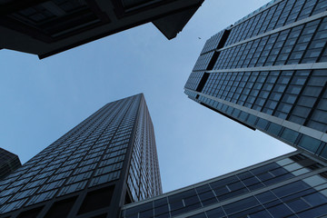Fototapeta na wymiar Modern skyscrapers in the Bankenviertel (banking district) in Frankfurt am Main, Hesse, Germany.