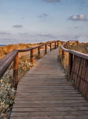 Fototapeta na wymiar Wooden path at summer coast landscape