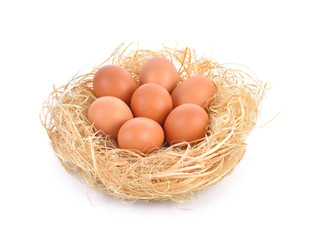 eggs in a nest on white background