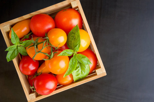 Fresh ripe tomatoes and basil in box on a black background. Red and yellow tomatoes. Top view with copy space.