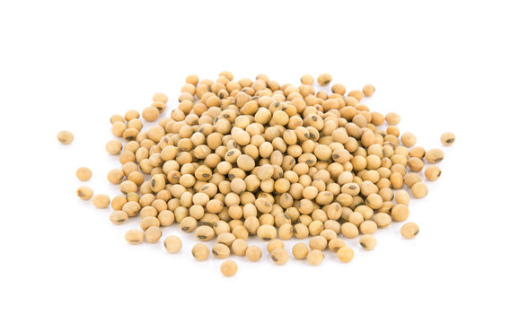 Soy Beans isolated on white background