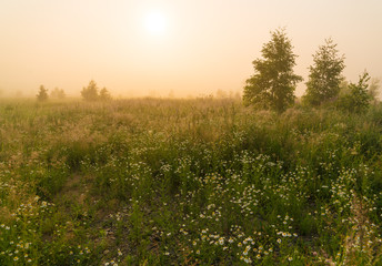 Golden sunshine above countryside field at morning