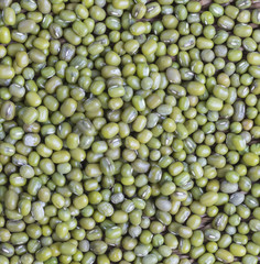 A mung beans.
