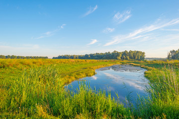 Shore of a lake during the golden hour