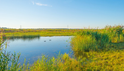 Shore of a lake during the golden hour