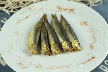sprat 25082016