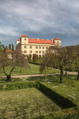 Trees in the castle garden