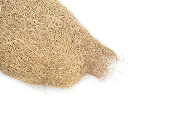 bird nest Baya weaver