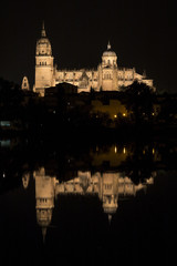 Catedral de Salamanca junto a su reflejo. 