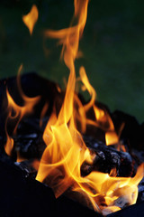 Fototapeta premium Танец огня