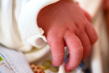 Newborn Baby hand