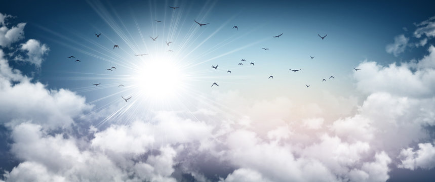 Fototapeta Stormy sky, sunlight and birds flying away