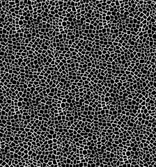 Background pattern (crack,stained-grass etc.)