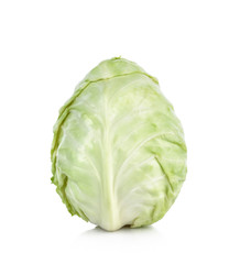 Pointed Cabbage on white background