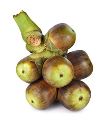 Palmyra palm (Toddy palm) isolated on white background