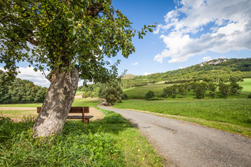 Apfelbaum Weg Bank Wandern