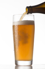 glass of beer on white background