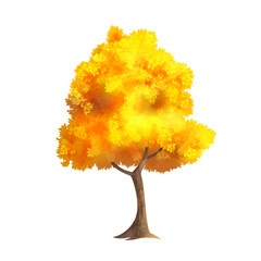 Gold Autumn Tree