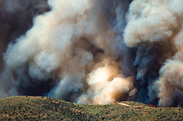 Dense White Smoke Rising from the Raging Wildfire