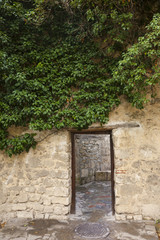 Fototapeta na wymiar passage in the stone wall and Ivy Green