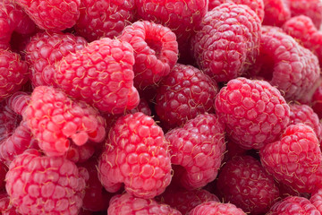 Raspberry bunch - side view