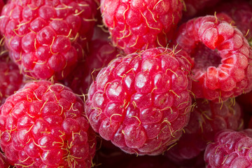 raspberries closeup