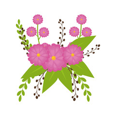 floral flowers ornament  decoration blossom beautiful vector illustration