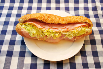 Ham and Chicken Deli Sandwich Served on a Picnic Table Cloth