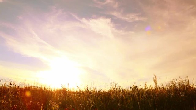 Family of three people having ride in rural landscape. Son, mother and father riding bikes over sunset sky background. Family bikers having fun on vacations.