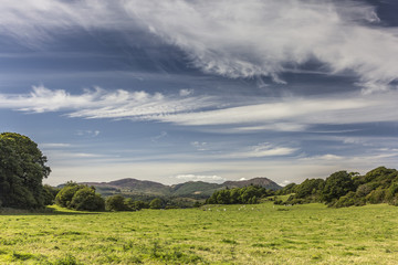 Cloudscape over Green Pasture Field near Auchencairn