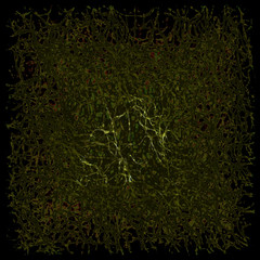Dark Green abstract mess-up background.