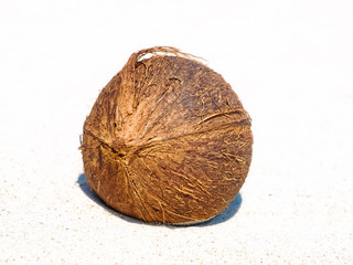 Coconut on white sand taken closeup.