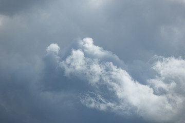 Fototapeta na wymiar Figured clouds like a sea/Horizontal abstract background