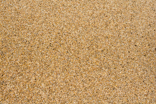 Golden sand texture