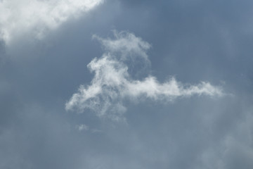Figured cloud/Horizontal abstract background