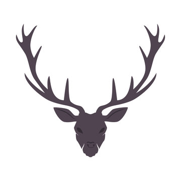horn moose or deer skull wall ornament vector illustration
