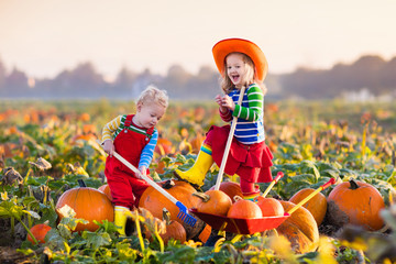 Kids picking pumpkins on Halloween pumpkin patch