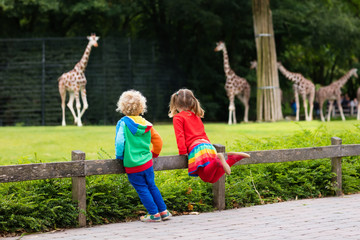 Kids watching giraffe at the zoo