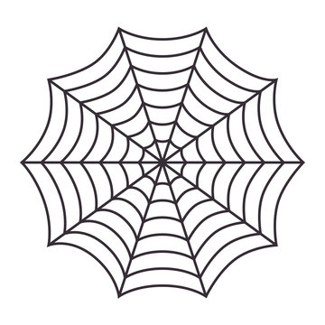 cobweb arachnid spider web halloween season vector illustration